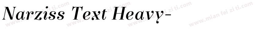 Narziss Text Heavy字体转换